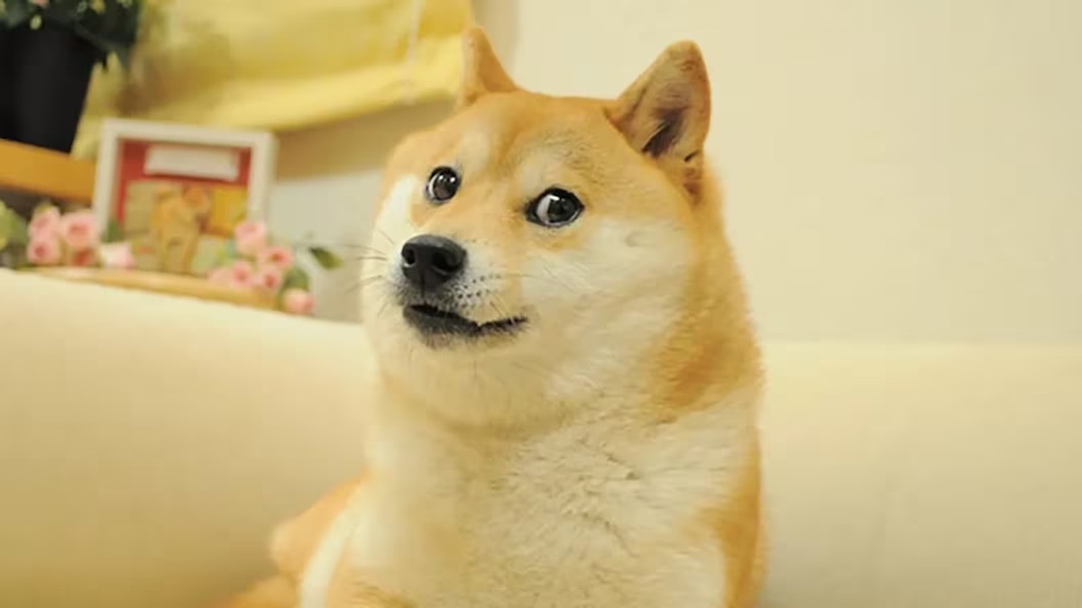 DOGEchan